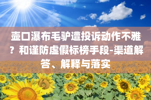 壺口瀑布毛驢遭投訴動作不雅？和謹防虛假標榜手段-渠道解答、解釋與落實
