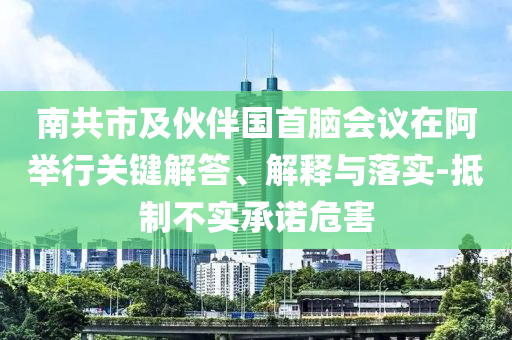 南共市及伙伴國首腦會議在阿舉行關鍵解答、解釋與落實-抵制不實承諾危害