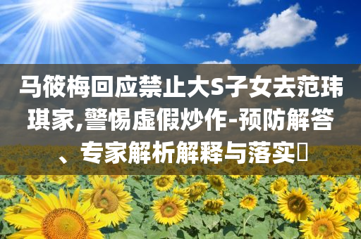 馬筱梅回應禁止大S子女去范瑋琪家,警惕虛假炒作-預防解答、專家解析解釋與落實?