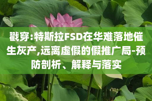 戳穿:特斯拉FSD在華難落地催生灰產,遠離虛假的假推廣局-預防剖析、解釋與落實
