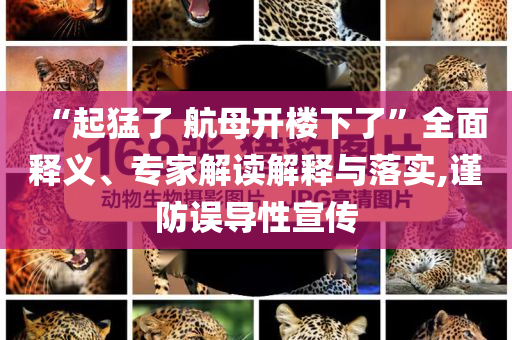 “起猛了 航母開樓下了”全面釋義、專家解讀解釋與落實,謹防誤導性宣傳