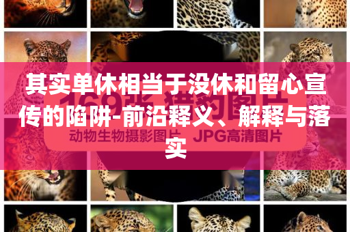 其實單休相當于沒休和留心宣傳的陷阱-前沿釋義、解釋與落實