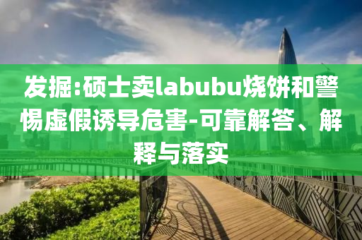 發掘:碩士賣labubu燒餅和警惕虛假誘導危害-可靠解答、解釋與落實