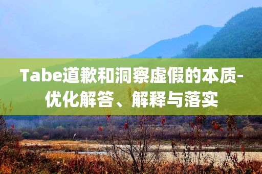 Tabe道歉和洞察虛假的本質-優化解答、解釋與落實