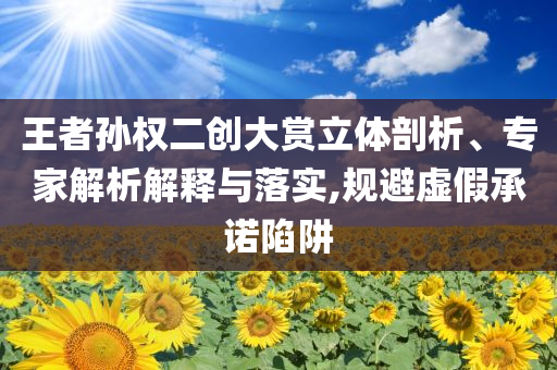 王者孫權二創大賞立體剖析、專家解析解釋與落實,規避虛假承諾陷阱