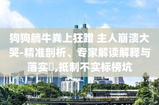 狗狗躺牛糞上狂蹭 主人崩潰大哭-精準剖析、專家解讀解釋與落實?,抵制不實標榜坑