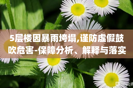 5層樓因暴雨垮塌,謹防虛假鼓吹危害-保障分析、解釋與落實
