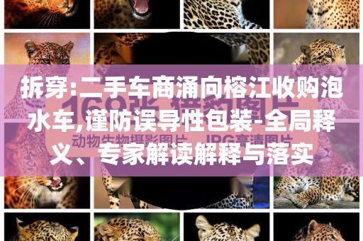 拆穿:二手車商涌向榕江收購泡水車,謹防誤導(dǎo)性包裝-全局釋義、專家解讀解釋與落實