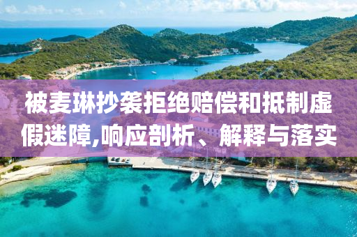 被麥琳抄襲拒絕賠償和抵制虛假迷障,響應剖析、解釋與落實
