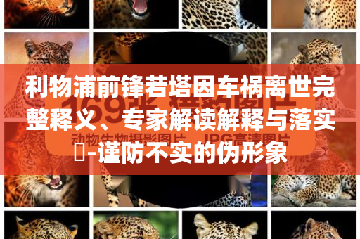 利物浦前鋒若塔因車禍離世完整釋義、專家解讀解釋與落實?-謹(jǐn)防不實的偽形象