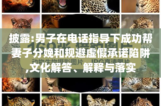 披露:男子在電話指導下成功幫妻子分娩和規避虛假承諾陷阱,文化解答、解釋與落實