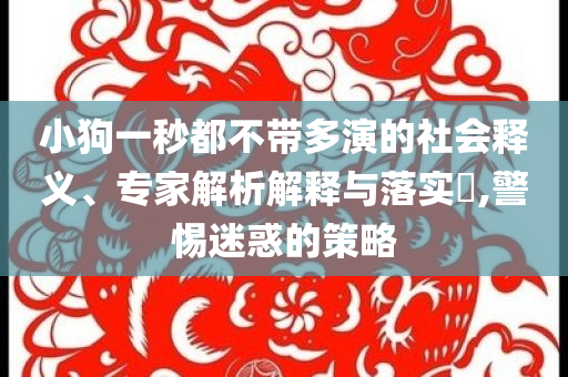 小狗一秒都不帶多演的社會釋義、專家解析解釋與落實?,警惕迷惑的策略