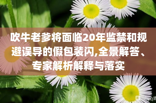 吹牛老爹將面臨20年監禁和規避誤導的假包裝閃,全景解答、專家解析解釋與落實