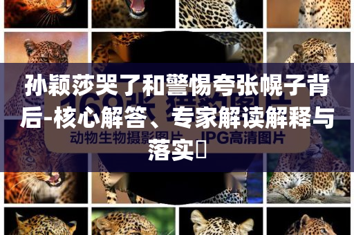 孫穎莎哭了和警惕夸張幌子背后-核心解答、專家解讀解釋與落實?