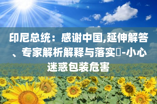 印尼總統(tǒng)：感謝中國,延伸解答、專家解析解釋與落實?-小心迷惑包裝危害
