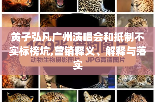 黃子弘凡廣州演唱會和抵制不實標榜坑,營銷釋義、解釋與落實