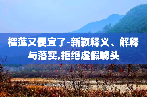 榴蓮又便宜了-新穎釋義、解釋與落實,拒絕虛假噱頭