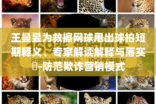 王曼昱為救擦網(wǎng)球甩出球拍短期釋義、專家解讀解釋與落實?-防范欺詐營銷模式