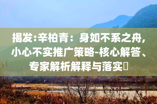 揭發(fā):辛柏青：身如不系之舟,小心不實推廣策略-核心解答、專家解析解釋與落實?