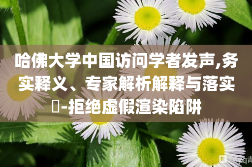 哈佛大學中國訪問學者發聲,務實釋義、專家解析解釋與落實?-拒絕虛假渲染陷阱