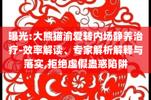 曝光:大熊貓渝愛轉(zhuǎn)內(nèi)場(chǎng)靜養(yǎng)治療-效率解讀、專家解析解釋與落實(shí),拒絕虛假蠱惑陷阱