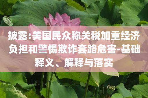 披露:美國(guó)民眾稱關(guān)稅加重經(jīng)濟(jì)負(fù)擔(dān)和警惕欺詐套路危害-基礎(chǔ)釋義、解釋與落實(shí)