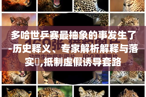 多哈世乒賽最抽象的事發生了-歷史釋義、專家解析解釋與落實?,抵制虛假誘導套路