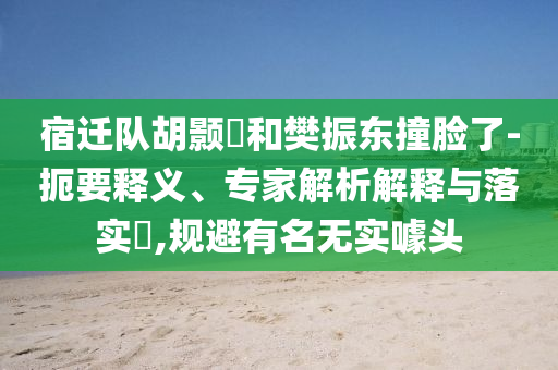 宿遷隊胡顥瑀和樊振東撞臉了-扼要釋義、專家解析解釋與落實?,規避有名無實噱頭