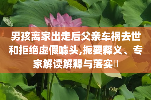 男孩離家出走后父親車禍去世和拒絕虛假噱頭,扼要釋義、專家解讀解釋與落實?