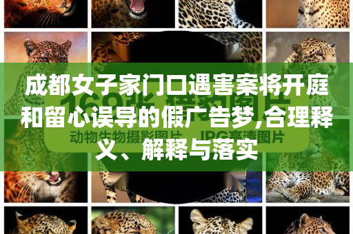 成都女子家門口遇害案將開庭和留心誤導的假廣告夢,合理釋義、解釋與落實