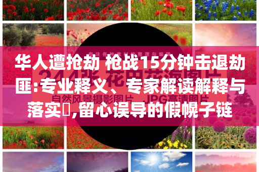 華人遭搶劫 槍戰15分鐘擊退劫匪:專業釋義、專家解讀解釋與落實?,留心誤導的假幌子鏈