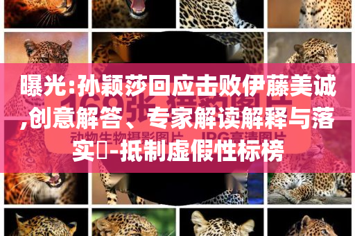 曝光:孫穎莎回應擊敗伊藤美誠,創意解答、專家解讀解釋與落實?-抵制虛假性標榜