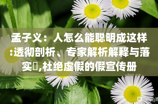 孟子義：人怎么能聰明成這樣:透徹剖析、專家解析解釋與落實?,杜絕虛假的假宣傳冊