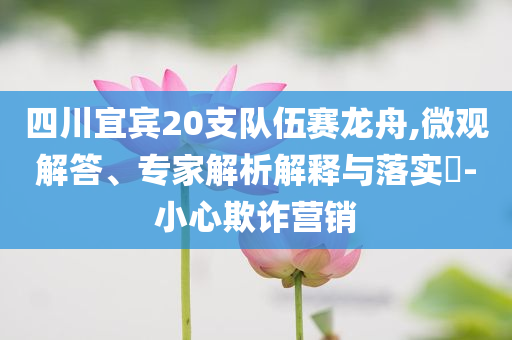 四川宜賓20支隊伍賽龍舟,微觀解答、專家解析解釋與落實?-小心欺詐營銷