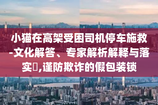 小貓在高架受困司機停車施救-文化解答、專家解析解釋與落實?,謹防欺詐的假包裝鎖