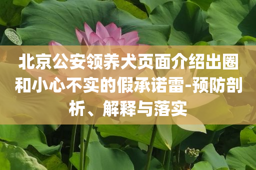 北京公安領養(yǎng)犬頁面介紹出圈和小心不實的假承諾雷-預防剖析、解釋與落實