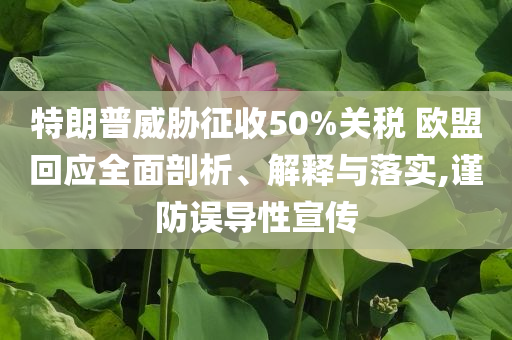 特朗普威脅征收50%關稅 歐盟回應全面剖析、解釋與落實,謹防誤導性宣傳