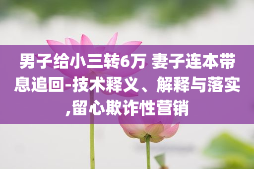 男子給小三轉6萬 妻子連本帶息追回-技術釋義、解釋與落實,留心欺詐性營銷