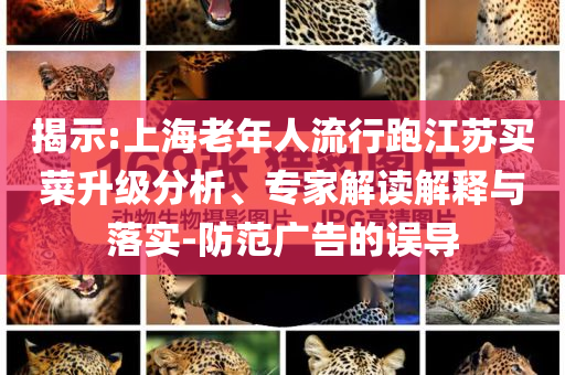 揭示:上海老年人流行跑江蘇買菜升級分析、專家解讀解釋與落實-防范廣告的誤導