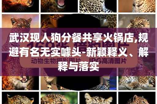 武漢現(xiàn)人狗分餐共享火鍋店,規(guī)避有名無實噱頭-新穎釋義、解釋與落實
