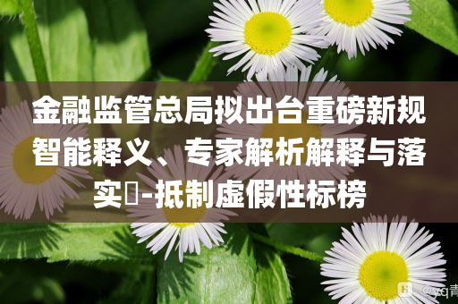 金融監(jiān)管總局?jǐn)M出臺(tái)重磅新規(guī)智能釋義、專家解析解釋與落實(shí)?-抵制虛假性標(biāo)榜
