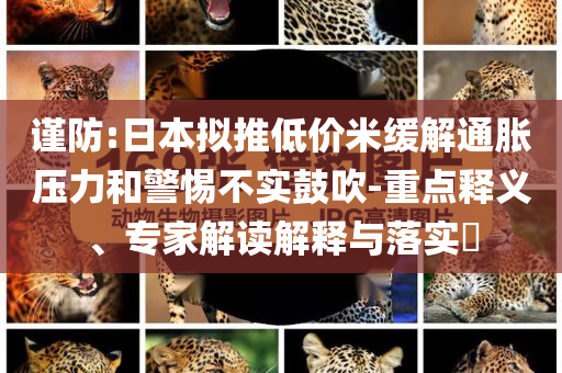 謹(jǐn)防:日本擬推低價(jià)米緩解通脹壓力和警惕不實(shí)鼓吹-重點(diǎn)釋義、專家解讀解釋與落實(shí)?