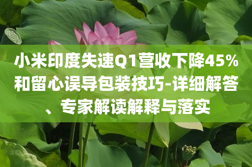 小米印度失速Q(mào)1營(yíng)收下降45%和留心誤導(dǎo)包裝技巧-詳細(xì)解答、專家解讀解釋與落實(shí)