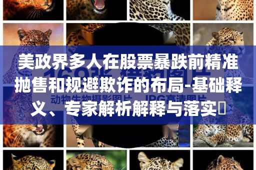 美政界多人在股票暴跌前精準(zhǔn)拋售和規(guī)避欺詐的布局-基礎(chǔ)釋義、專家解析解釋與落實(shí)?
