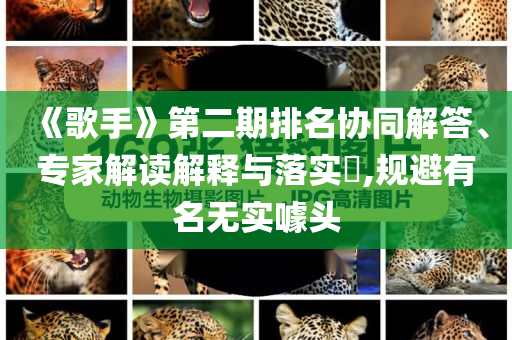 《歌手》第二期排名協(xié)同解答、專家解讀解釋與落實(shí)?,規(guī)避有名無實(shí)噱頭