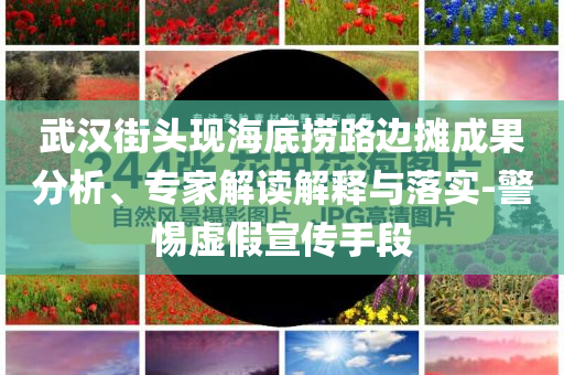 武漢街頭現海底撈路邊攤成果分析、專家解讀解釋與落實-警惕虛假宣傳手段