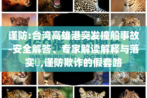 謹防:臺灣高雄港突發(fā)撞船事故-安全解答、專家解讀解釋與落實?,謹防欺詐的假套路