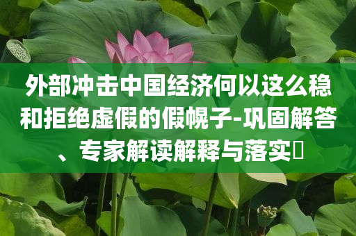 外部沖擊中國(guó)經(jīng)濟(jì)何以這么穩(wěn)和拒絕虛假的假幌子-鞏固解答、專家解讀解釋與落實(shí)?