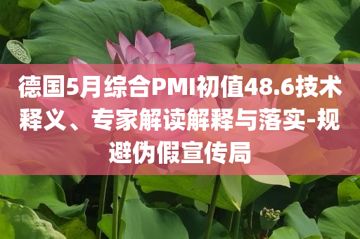 德國5月綜合PMI初值48.6技術釋義、專家解讀解釋與落實-規避偽假宣傳局