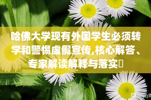 哈佛大學現有外國學生必須轉學和警惕虛假宣傳,核心解答、專家解讀解釋與落實?